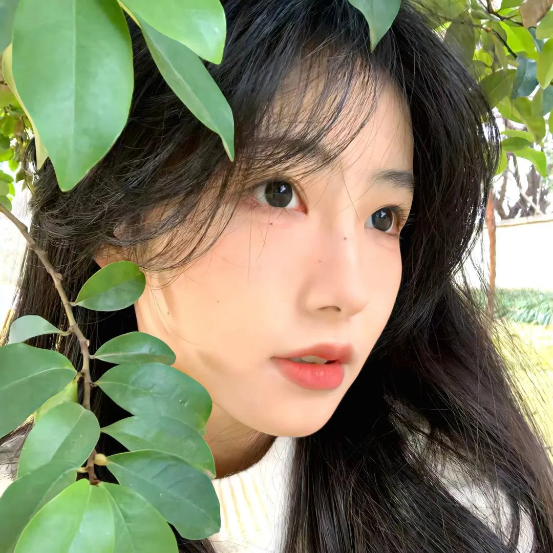 护花大臣海报